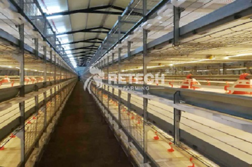 broiler farm