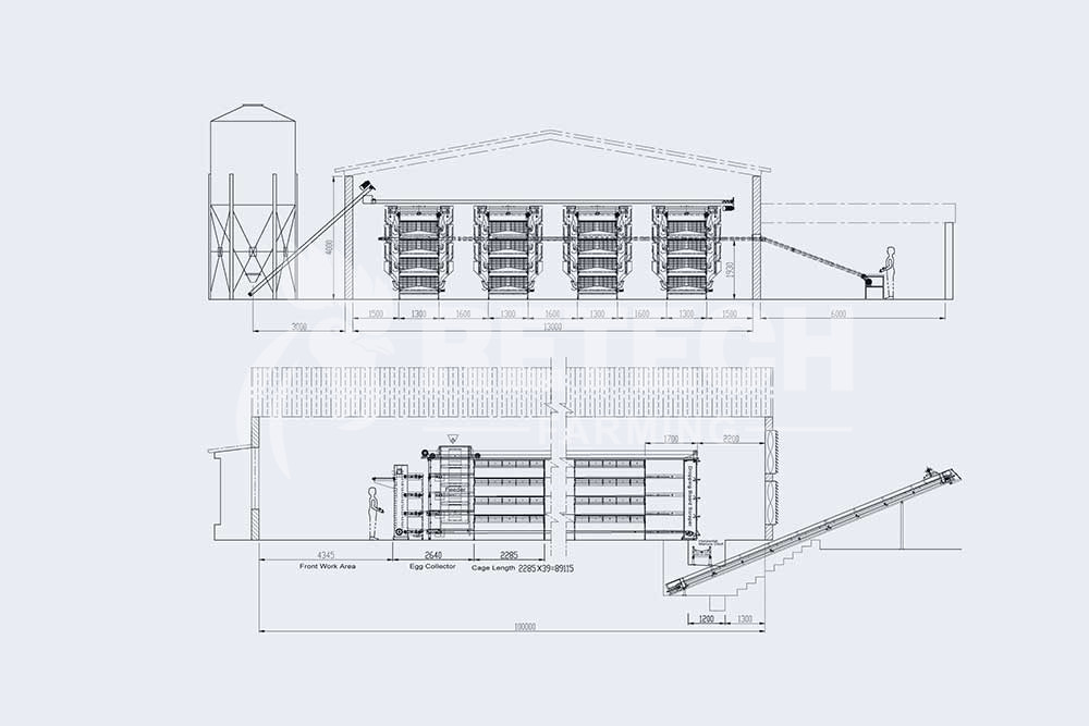 chicken farm design