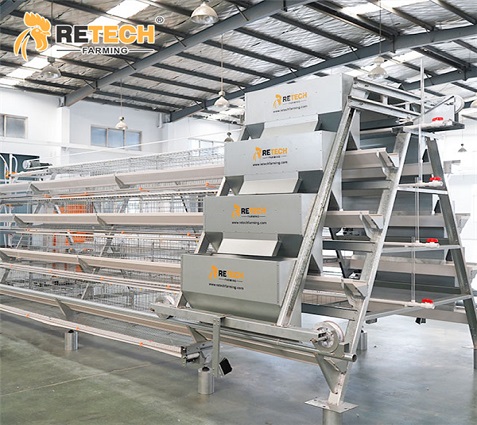 battery cage system