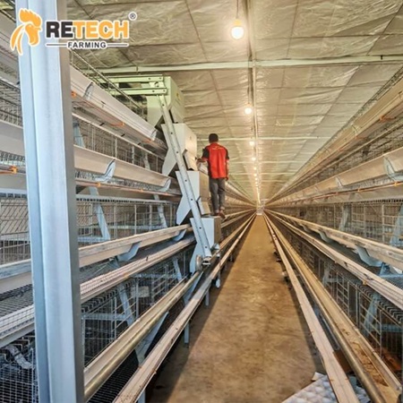 A Type layer battery cage