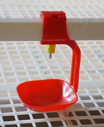 broiler poultry farm with drinking system