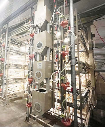 broiler chicken cage with feeding system