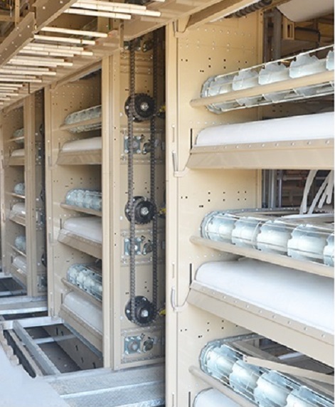 Automatic Manure Cleaning System