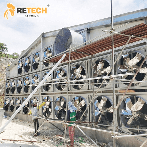 Fans in Broiler Houses