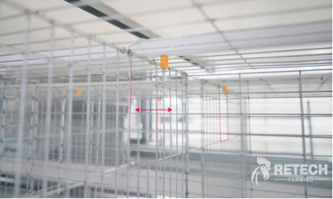 Hot-dip galvanized chicken cages