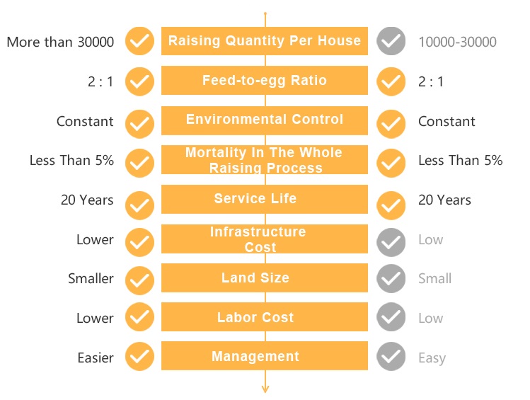 How to choose layer cage equipment