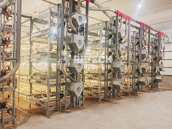 Philippine broiler equipment supplier