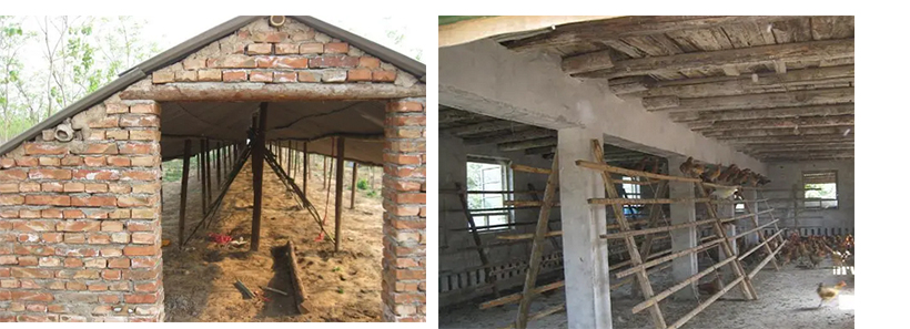 traditional chicken house building