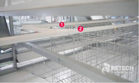 Two water lines for layer cage