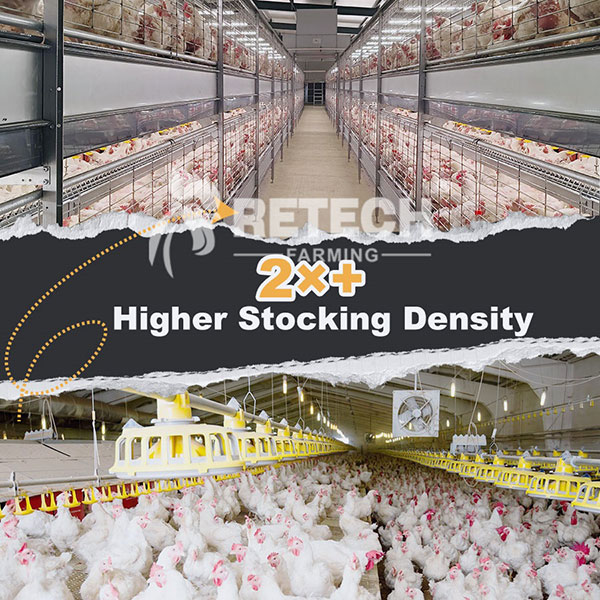 automatic breeder cage