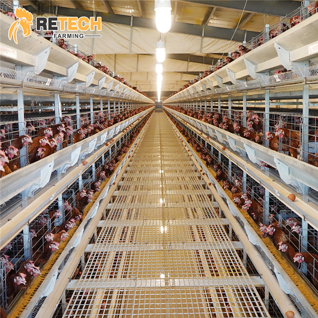 аутоматске фарме пилића