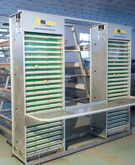 automatic egg collection system