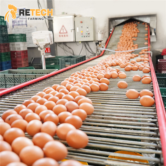 https://www.retechchickencage.com/retech-automatic-h-type-poultry-farm-layer-chicken-cage-product/