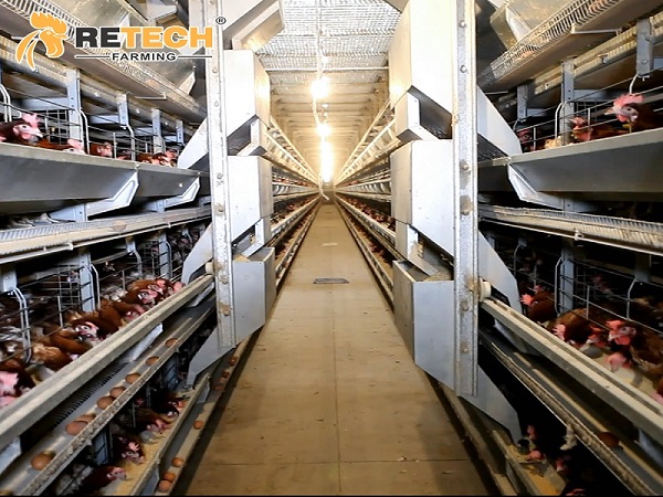 automatic feeding system 2