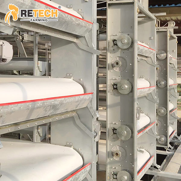 automatic manure cleaning system