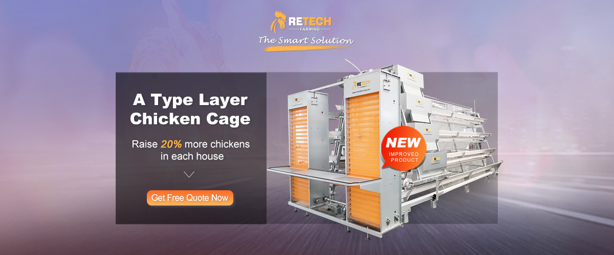battery layer cage
