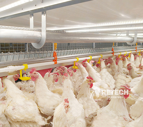 breeder-cage-drinking-system-2