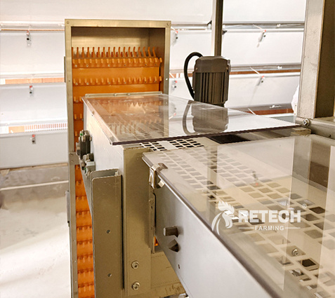 breeder-cage-egg-collection-system-1