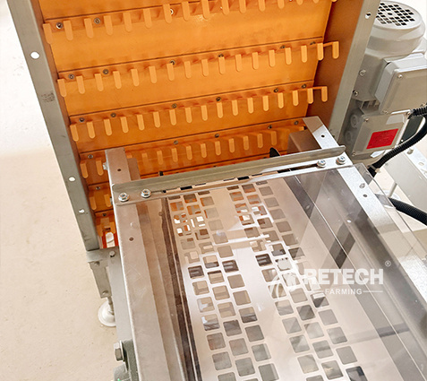breeder-cage-egg-collection-system-2