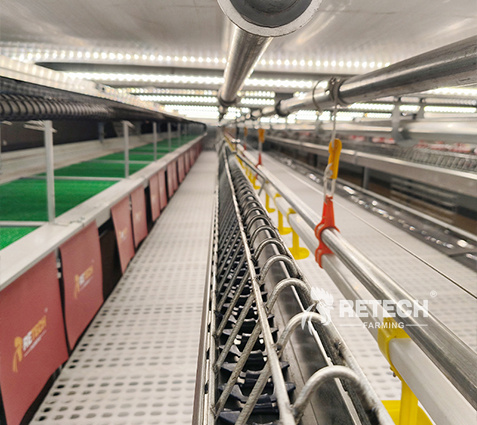 breeder-cage-feeding-system-2