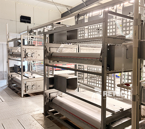breeder-cage-manure-cleaning-system-2