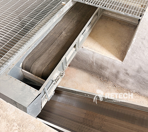 breeder-cage-manure-cleaning-system-3