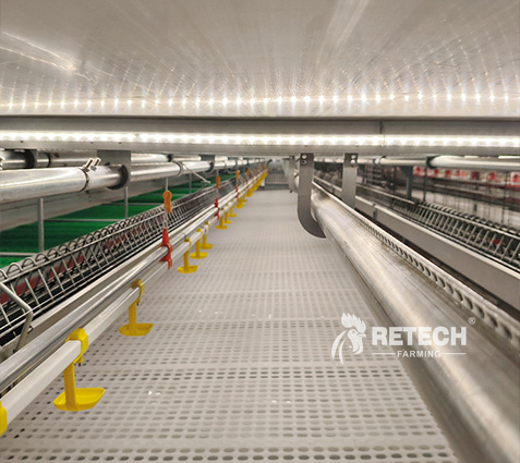 breeder-farm-lighting-system-2