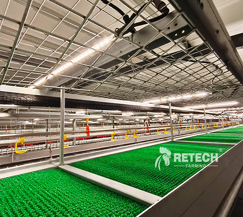 breeder-farming-scratching-area-1