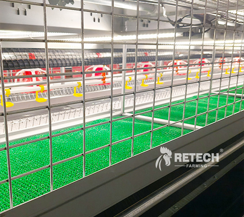 breeder-farming-scratching-area-2