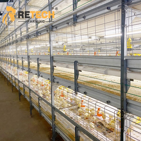 broiler battery cages system