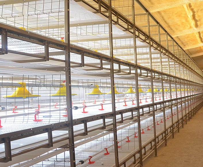 broiler battery cages