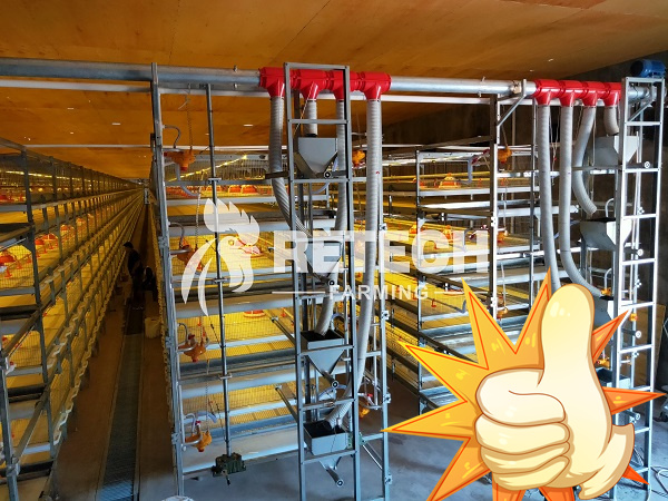 broiler farming in Indonesia