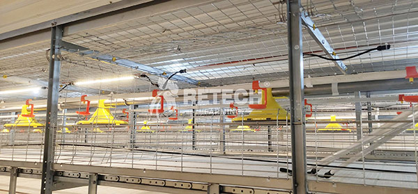broiler feeding system
