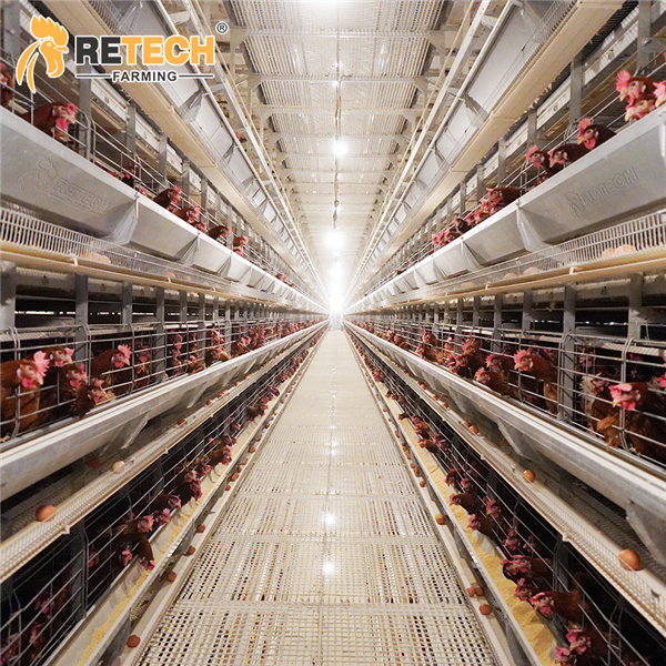 https://www.retechchickencage.com/retech-automatic-h-type-poultry-farm-layer-chicken-cage-product/