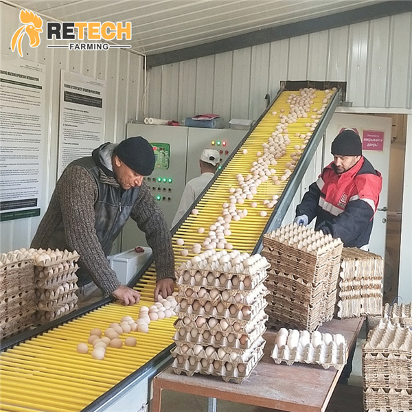 https://www.retechchickencage.com/retech-automatic-h-type-poultry-farm-layer-chicken-cage-product/