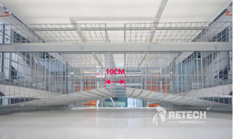 layer cage for sale