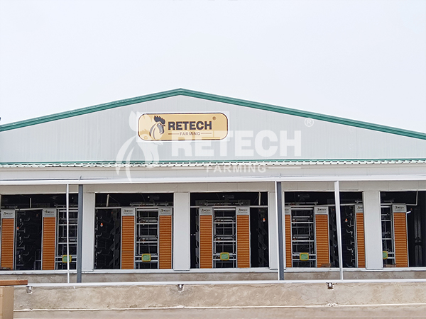 layer poultry farm