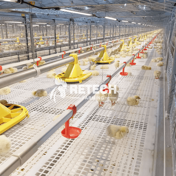 https://www.retechchickencage.com/automatic-broiler-chicken-farm-battery-cage-poultry-farming-equipment-for-sale-product/
