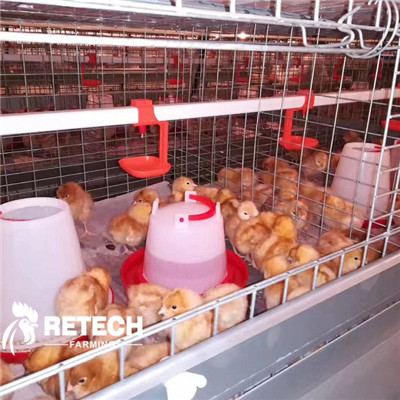 https://www.retechchickencage.com/hot-dipped-galvanized-4-tiers-pullet-layer-rearing-battery-chicken-cage-for-sale-product/
