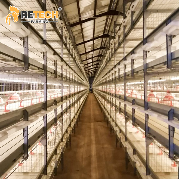 retech broiler farm