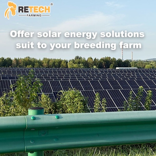 solar system for poultry farm