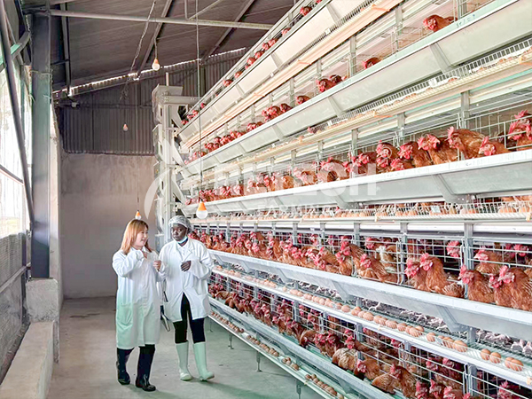 start a poultry farm in Kenya